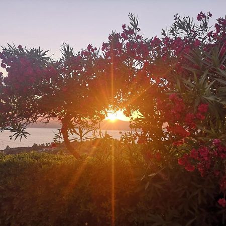 La Casa Sul Tramonto - Capoliveri - Services Included Екстериор снимка