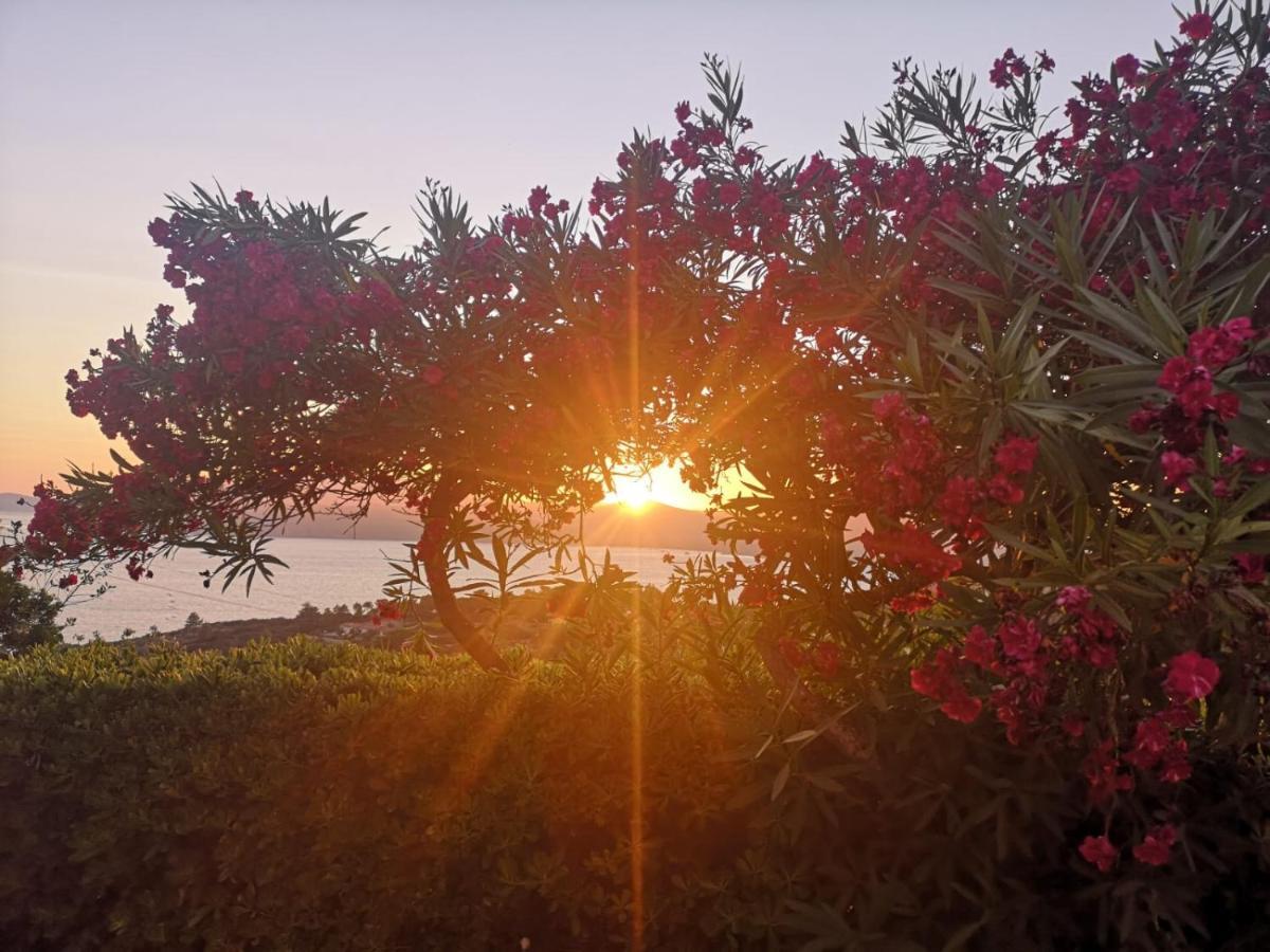La Casa Sul Tramonto - Capoliveri - Services Included Екстериор снимка
